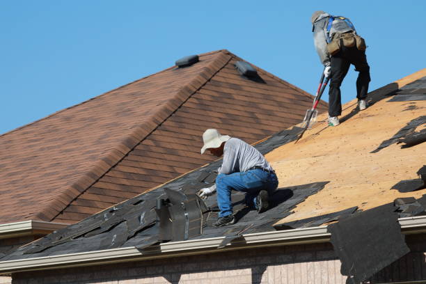 Best Roof Ventilation Installation  in Shields, MI