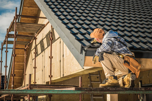 Best Roof Maintenance and Cleaning  in Shields, MI