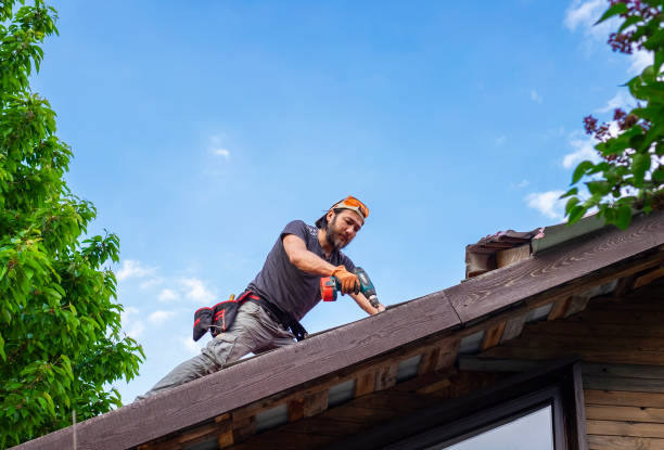 Best Storm Damage Roof Repair  in Shields, MI