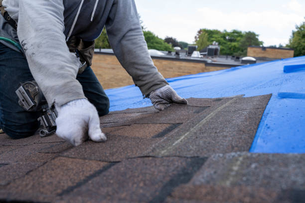 Best Cold Roofs  in Shields, MI