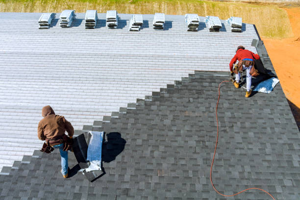 Best Storm Damage Roof Repair  in Shields, MI