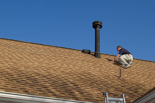 Best Roof Coating and Sealing  in Shields, MI