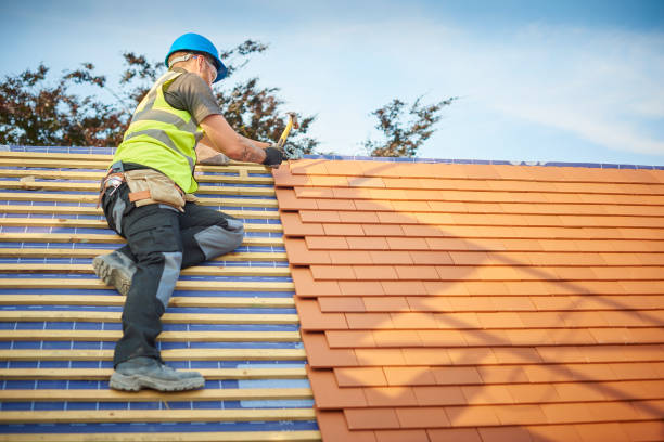 Best Asphalt Shingle Roofing  in Shields, MI